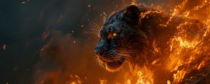 Preview wallpaper tiger, predator, fire, flame