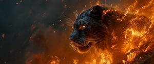 Preview wallpaper tiger, predator, fire, flame