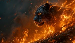 Preview wallpaper tiger, predator, fire, flame