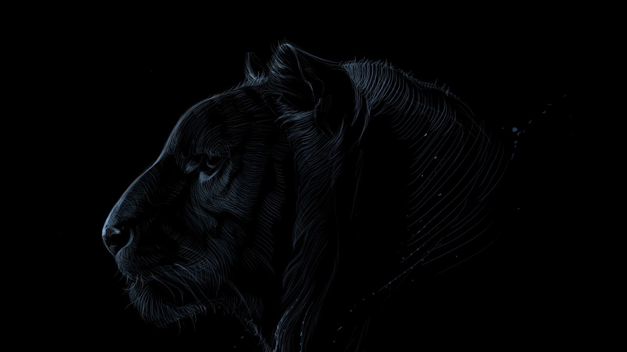 Wallpaper tiger, profile, art, dark, predator