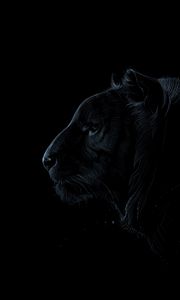 Preview wallpaper tiger, profile, art, dark, predator