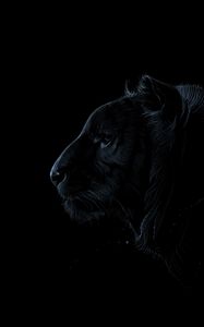 Preview wallpaper tiger, profile, art, dark, predator