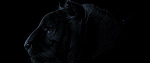 Preview wallpaper tiger, profile, art, dark, predator