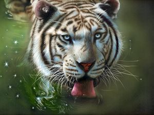 Preview wallpaper tiger, protruding tongue, art, water