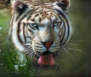 Preview wallpaper tiger, protruding tongue, art, water