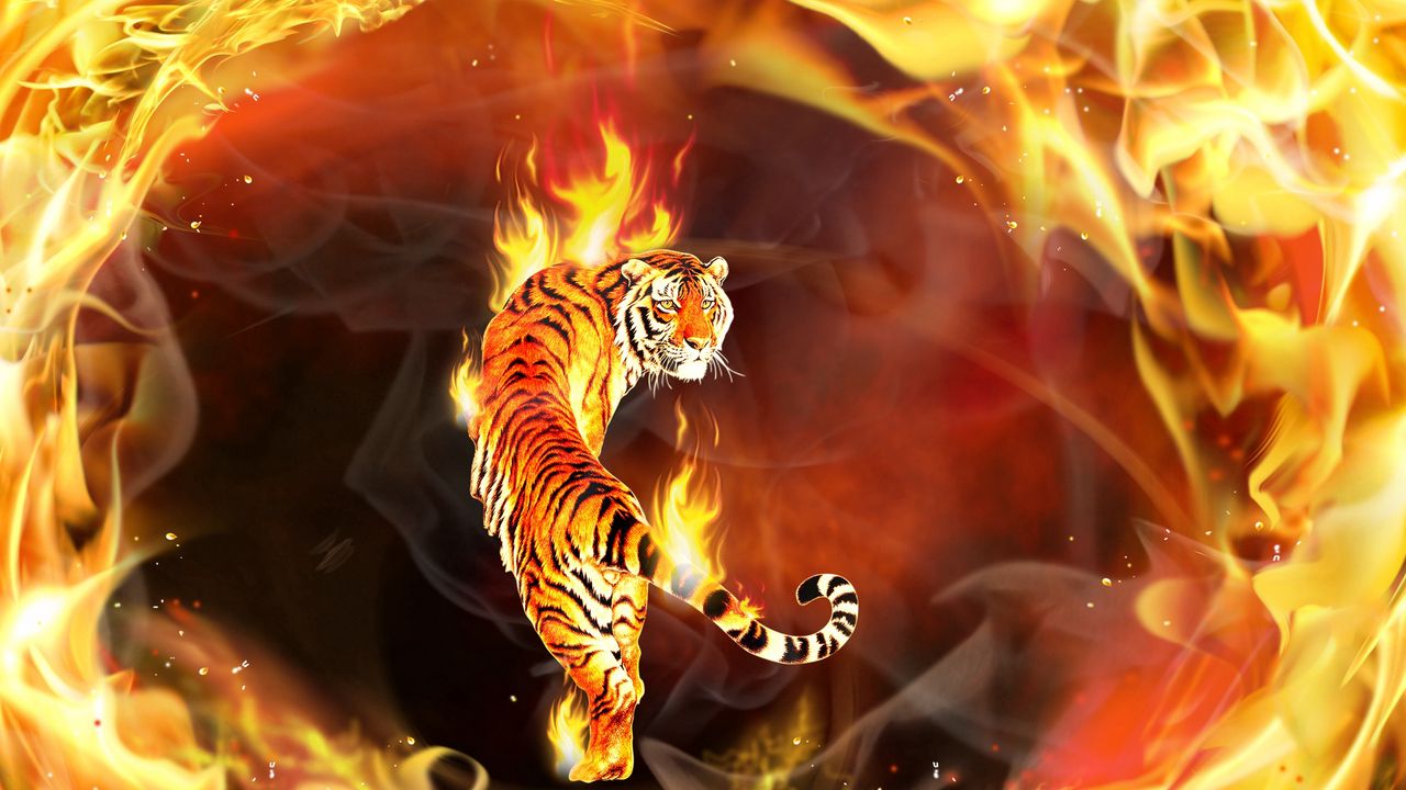 Wallpaper tiger, round, enveloped, flames