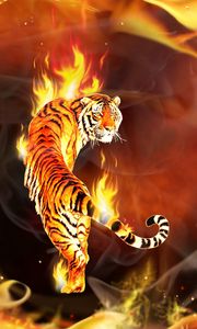 Preview wallpaper tiger, round, enveloped, flames