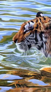 Preview wallpaper tiger, stripes, water, swim