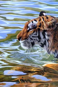 Preview wallpaper tiger, stripes, water, swim