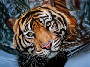 Preview wallpaper tiger, water, art, big cat, predator, striped