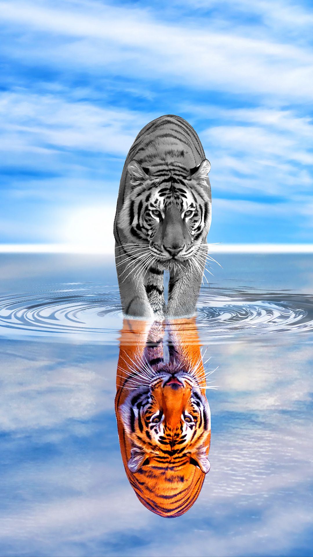 Download wallpaper 1080x1920 tiger, water, reflection, color, black and  white, sky, wave, photoshop samsung galaxy s4, s5, note, sony xperia z, z1,  z2, z3, htc one, lenovo vibe hd background