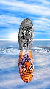 Preview wallpaper tiger, water, reflection, color, black and white, sky, wave, photoshop