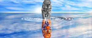 Preview wallpaper tiger, water, reflection, color, black and white, sky, wave, photoshop
