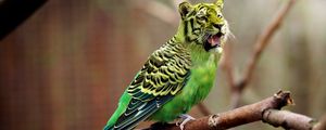 Preview wallpaper tiger, wavy parrot, photoshop