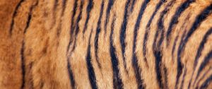 Preview wallpaper tiger, wool, stripes, texture