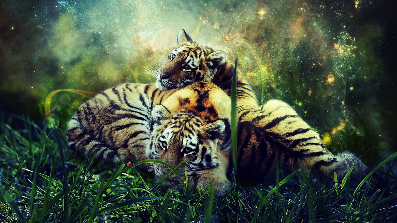 Wallpaper tigers, cubs, photoshop, wildlife