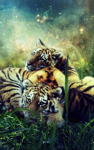 Preview wallpaper tigers, cubs, photoshop, wildlife