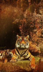 Preview wallpaper tigers, waterfalls, mountains, background, cat, water, rocks, predators