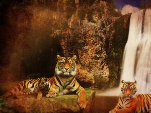 Preview wallpaper tigers, waterfalls, mountains, background, cat, water, rocks, predators
