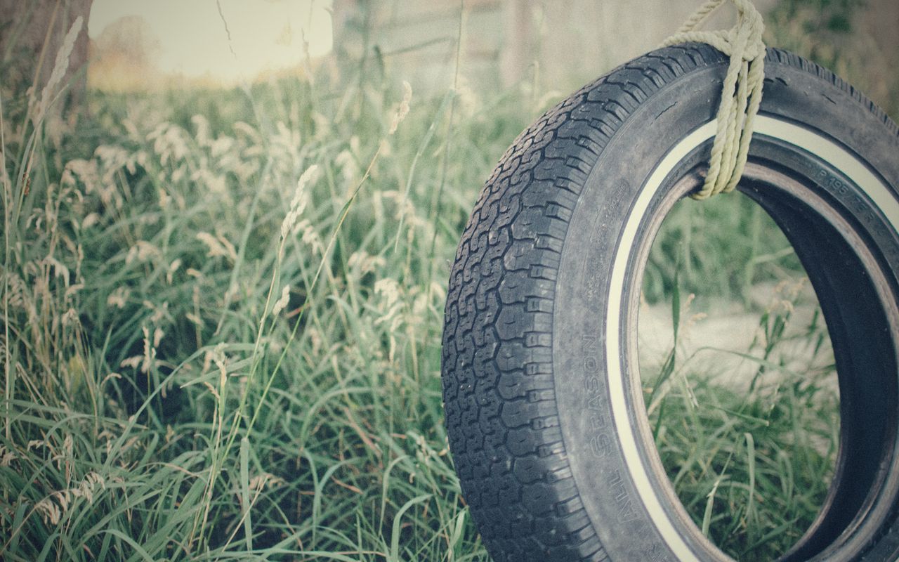 1280x800 Wallpaper tire, rope, grass