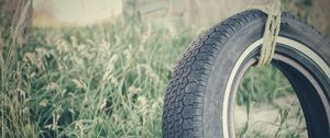 Preview wallpaper tire, rope, grass