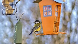 Preview wallpaper titmouse, bird, feeders, wildlife, blur