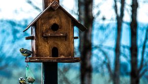 Preview wallpaper titmouse, birdhouse, birds