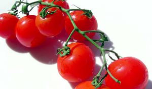 Preview wallpaper tomato, branch, vegetable