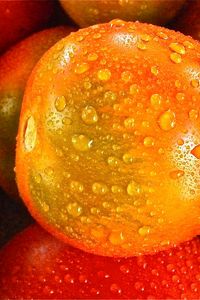 Preview wallpaper tomato, drop, vegetable