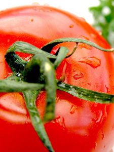 Preview wallpaper tomato, red, drops, ripe, parsley