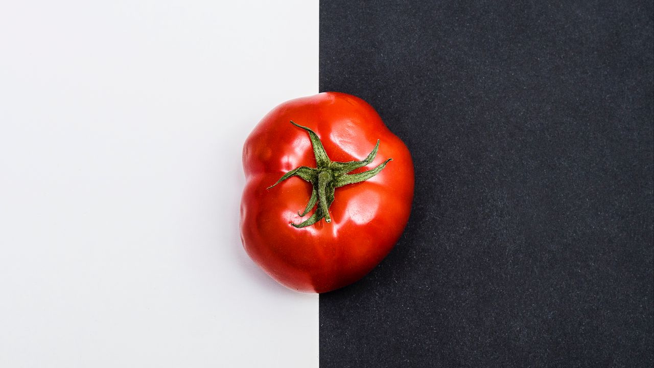 Wallpaper tomato, vegetable, minimalism