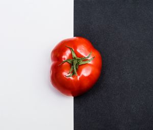 Preview wallpaper tomato, vegetable, minimalism