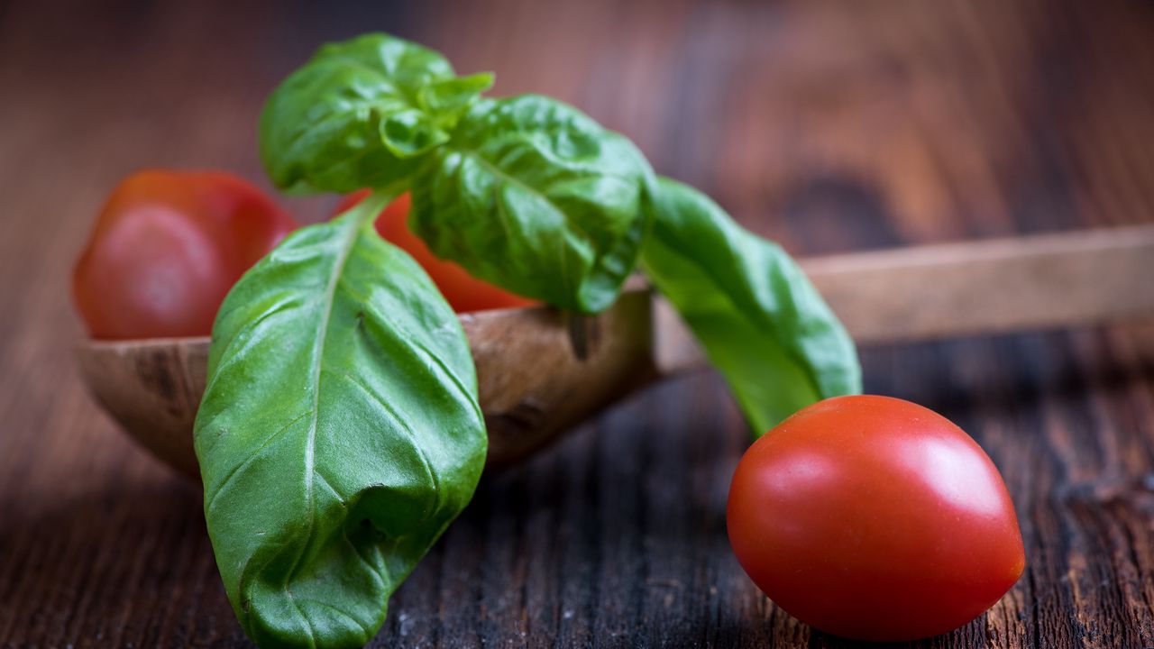 Wallpaper tomatoes, basil, spoon