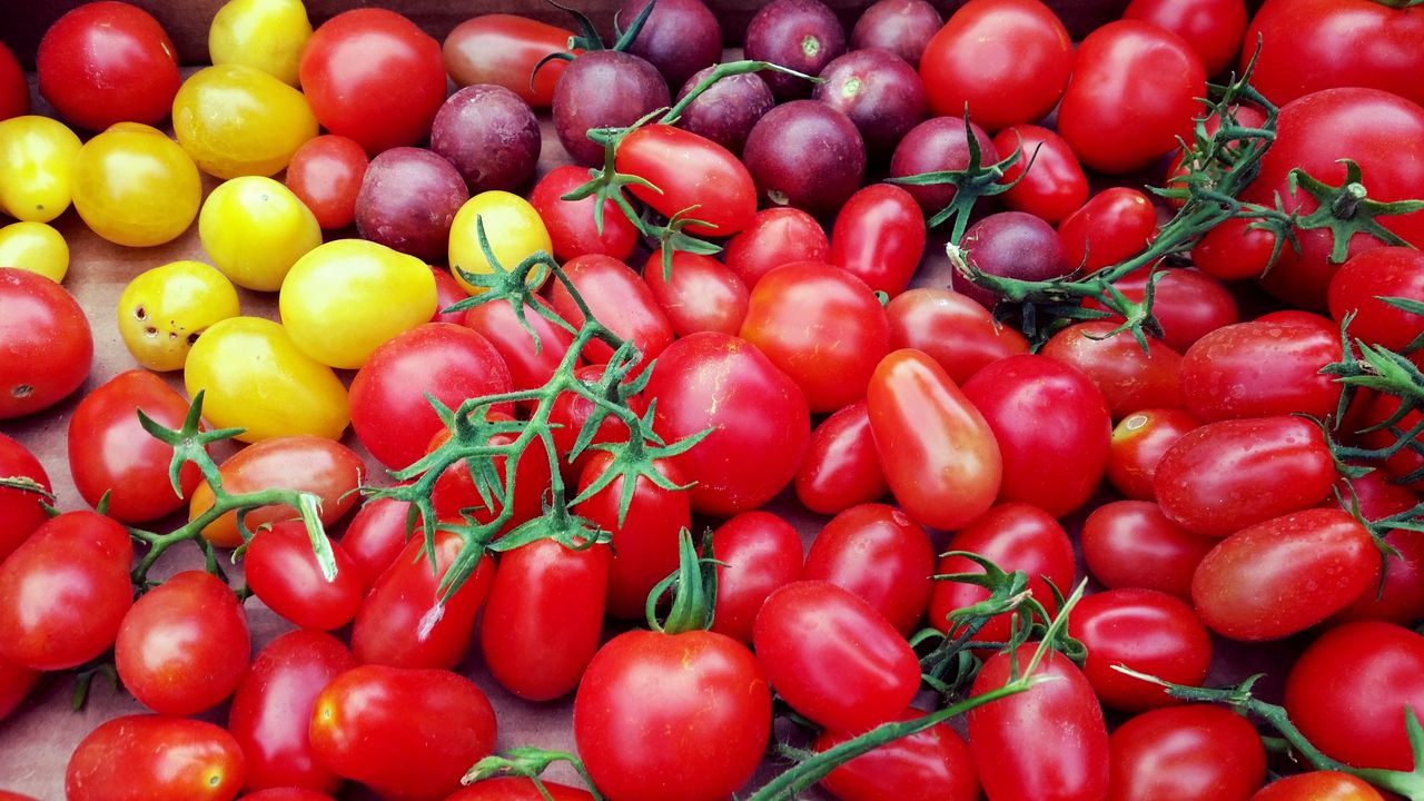 Wallpaper tomatoes, cherry, vegetables, variety