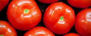 Preview wallpaper tomatoes, food, vegetables