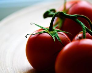 Preview wallpaper tomatoes, ripe, red, plate