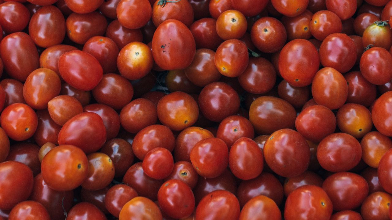Wallpaper tomatoes, ripe, vegetables