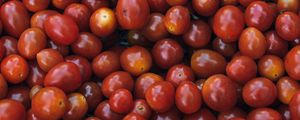 Preview wallpaper tomatoes, ripe, vegetables