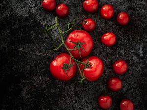 Preview wallpaper tomatoes, vegetables, branch, surface