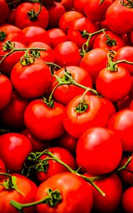 Preview wallpaper tomatoes, vegetables, branches, red, macro