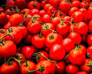 Preview wallpaper tomatoes, vegetables, branches, red, macro