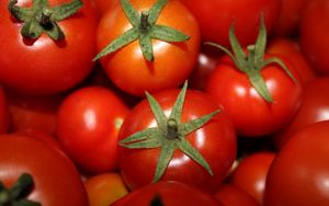 Preview wallpaper tomatoes, vegetables, ripe