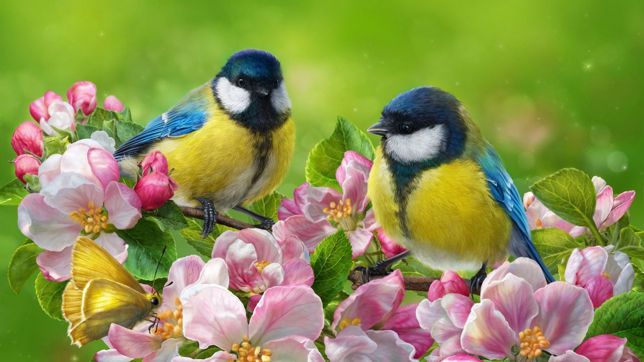 Wallpaper tomtit, bird, flowers, bright, art