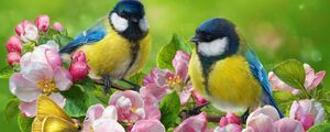 Preview wallpaper tomtit, bird, flowers, bright, art