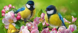 Preview wallpaper tomtit, bird, flowers, bright, art