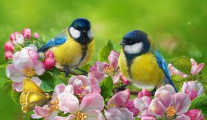 Preview wallpaper tomtit, bird, flowers, bright, art