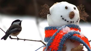 Preview wallpaper tomtit, bird, snowman, scarf, snow, winter