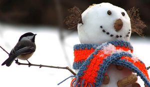 Preview wallpaper tomtit, bird, snowman, scarf, snow, winter