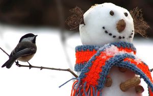 Preview wallpaper tomtit, bird, snowman, scarf, snow, winter