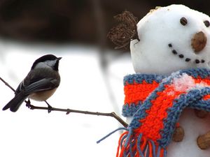 Preview wallpaper tomtit, bird, snowman, scarf, snow, winter